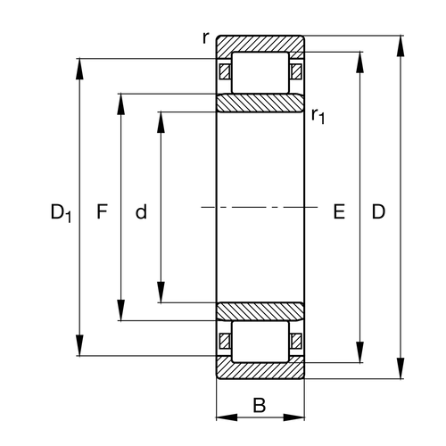 NU213-E-XL-M1-F1-J20AA-C4 NU213-E-XL-M1-F1-J20AA-C4